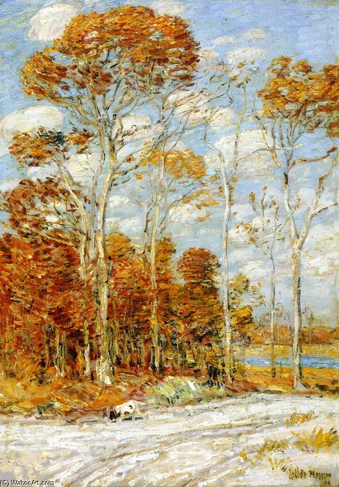 The Hawk's Nest — Frederick Childe Hassam