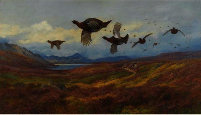 Swerving From The Guns-red Grouse — Archibald Thorburn