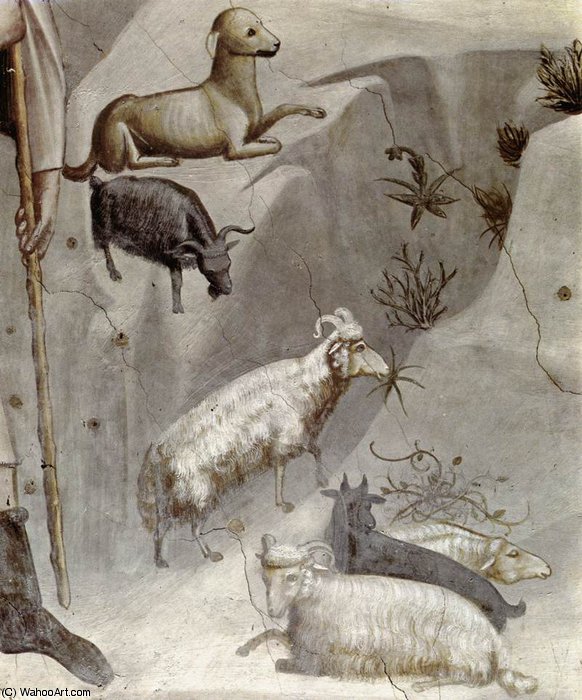 Joachim's Dream (detail) — Giotto Di Bondone