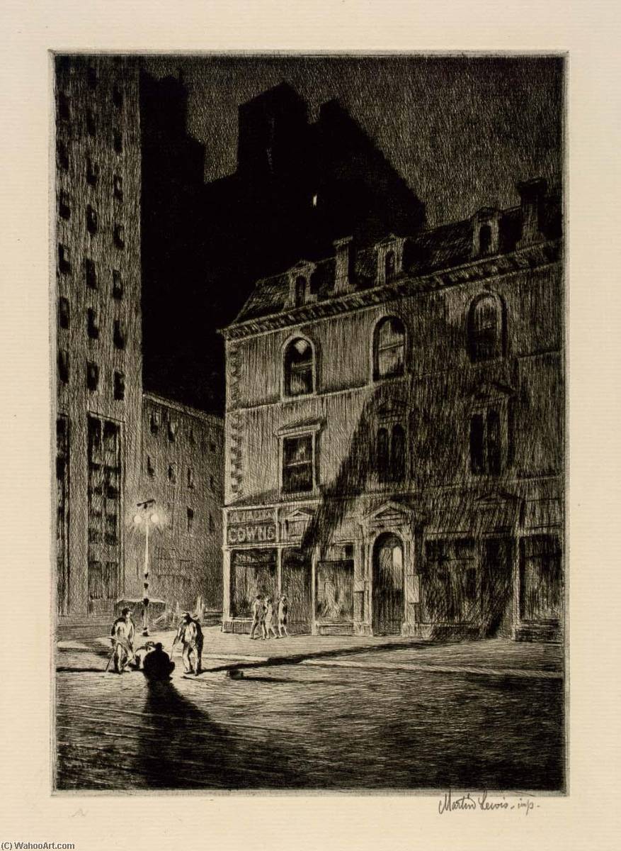 The Great Shadow — Martin Lewis