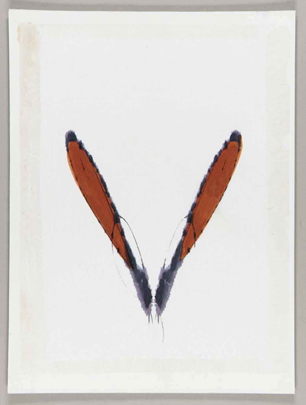 Laurel's Rabbit — Joseph Cornell