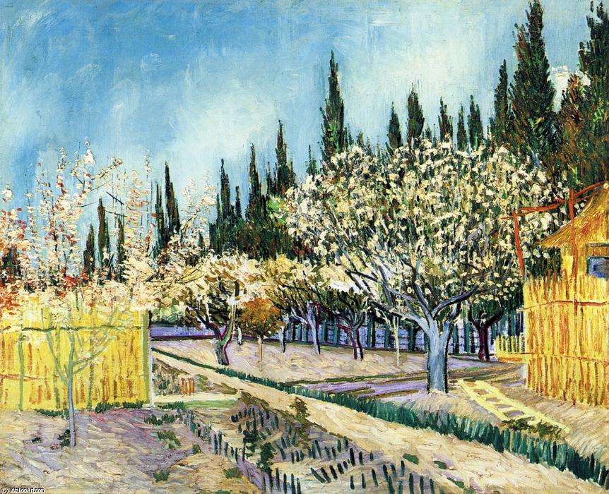 Orchard Surrounded By Cypresses — Vincent Willem Van Gogh