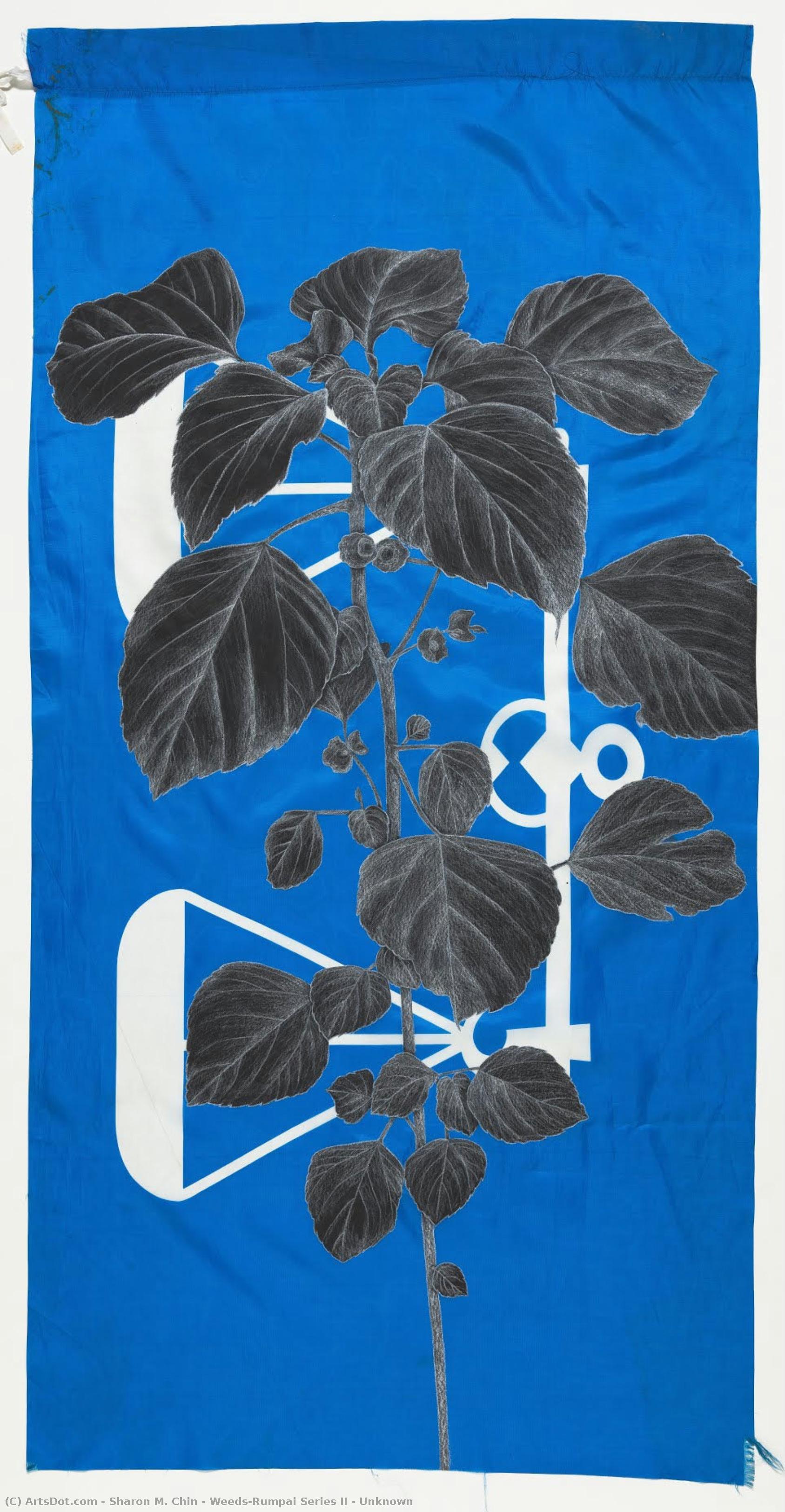 Weeds/rumpai Series Ii - Unknown — Sharon M. Chin