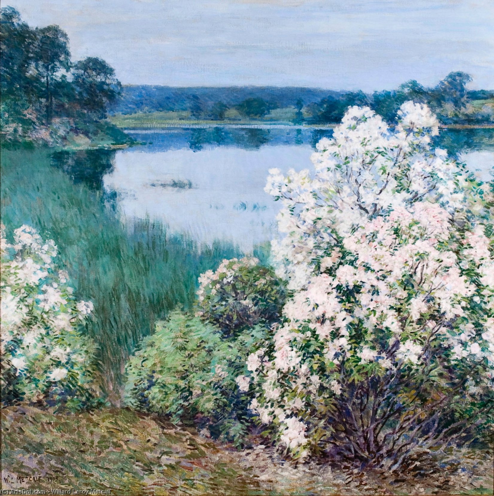 Kalmia — Willard Leroy Metcalf
