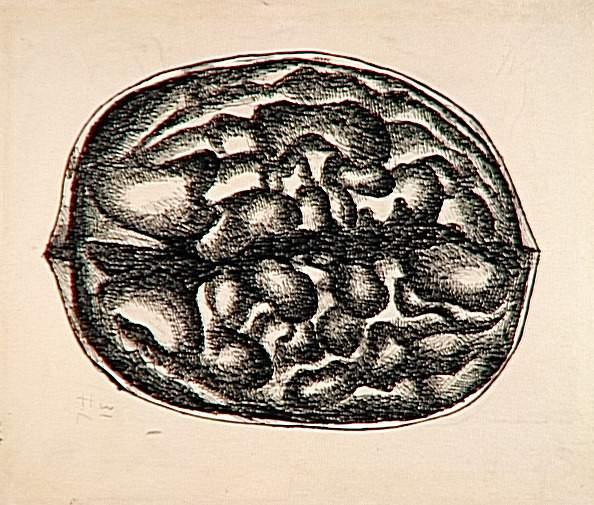 Study Nuts — Fernand Léger