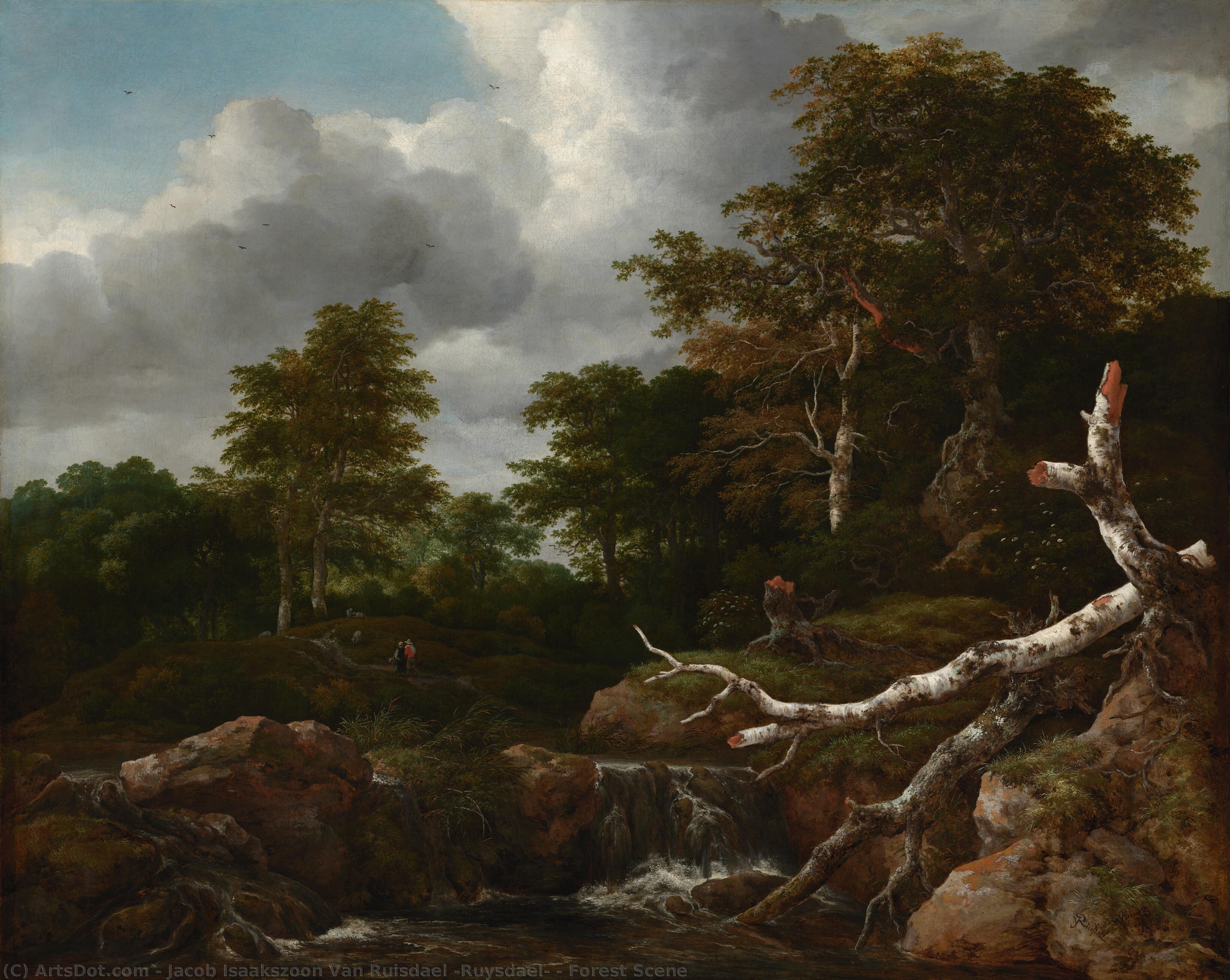 Forest Scene — Jacob Isaackszoon Van Ruisdael