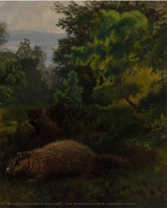 Two Woodchucks In Westphalian Forest — Albert Bierstadt