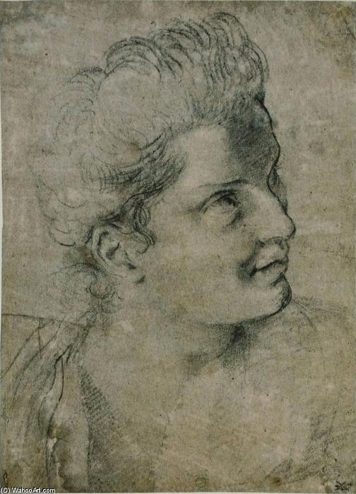 Face A Woman Turned Towards The Right — Annibale Carracci
