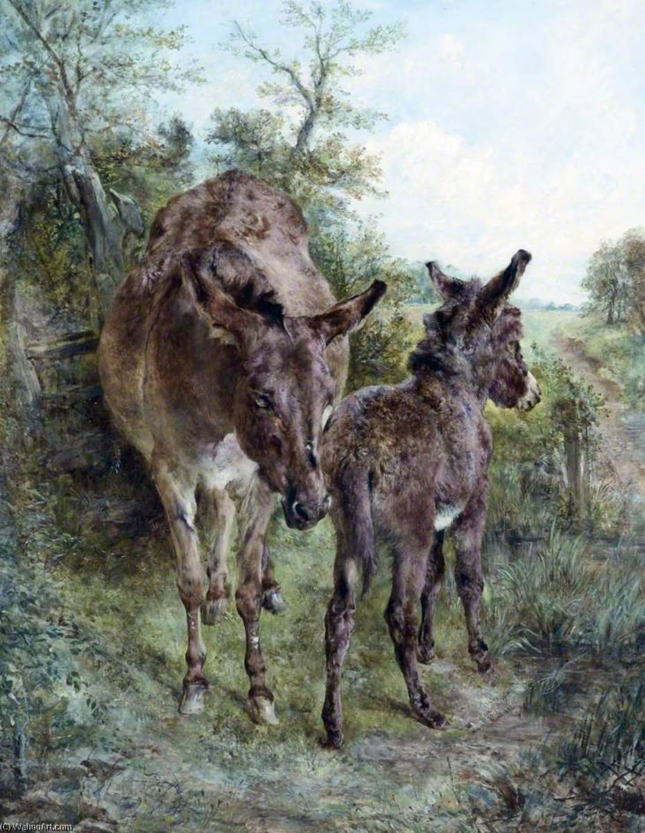 Donkey And Foal — William Joseph Julius Caesar Bond