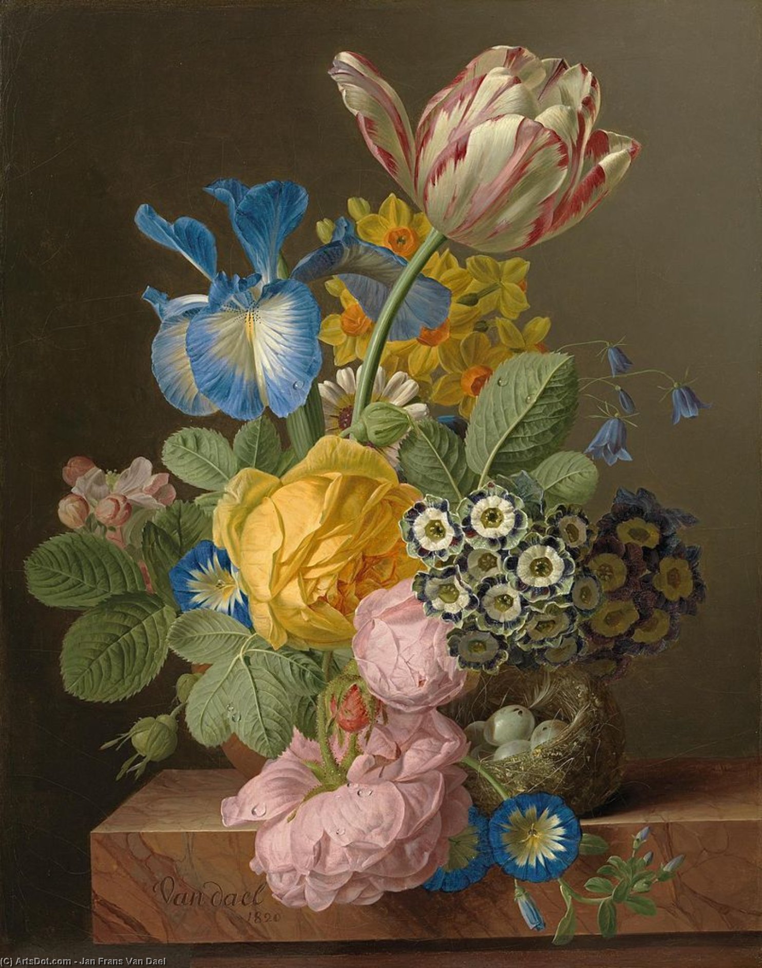 A Still Life Of Roses — Jan Frans Van Dael