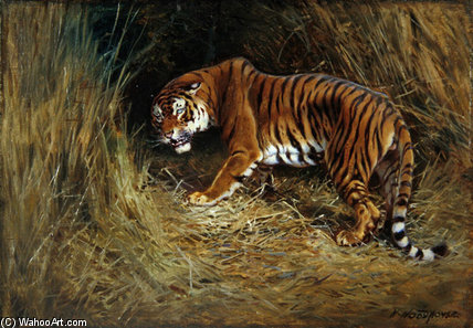 A Prowling Tiger — William Arnold Woodhouse