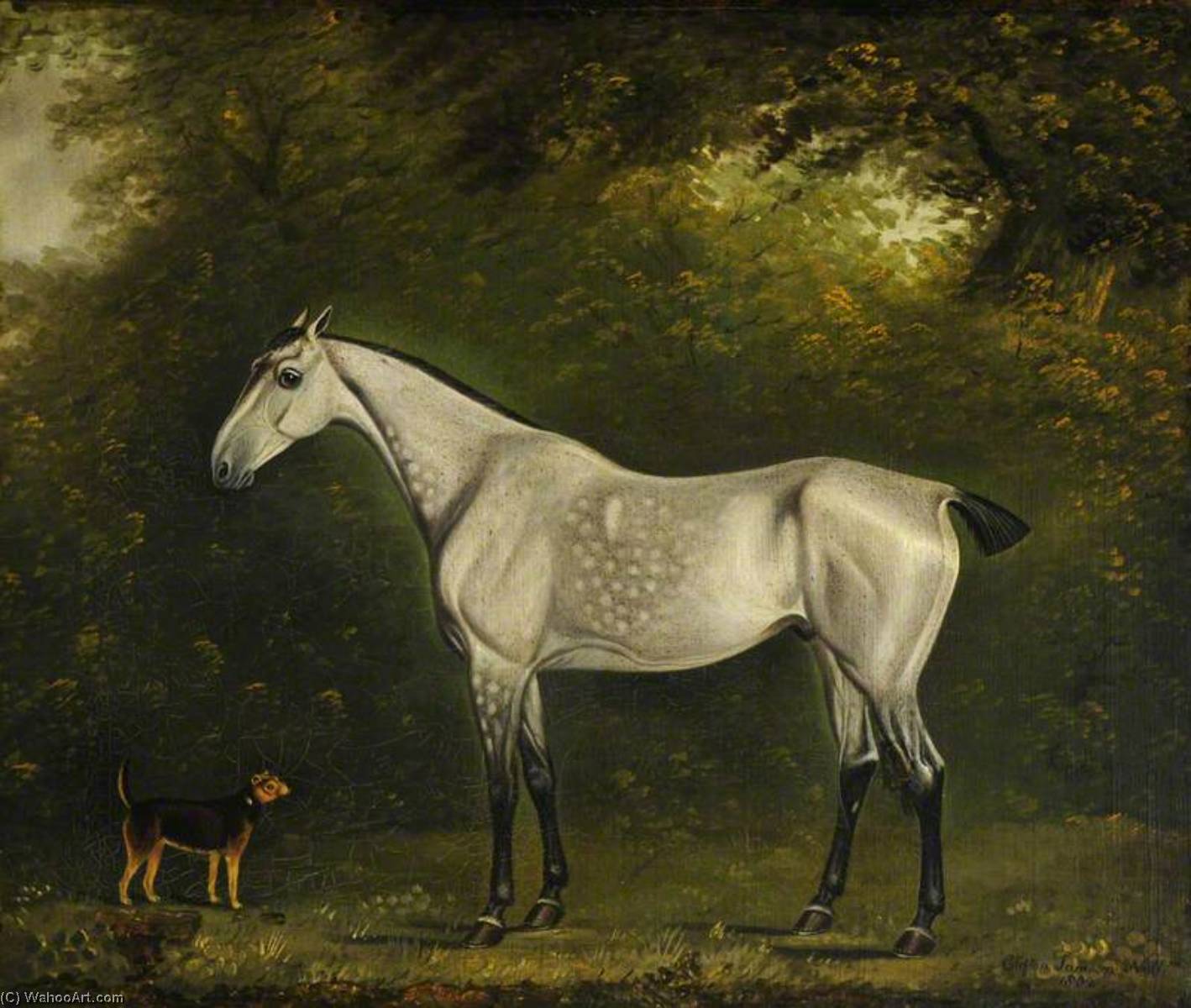 A Dappled Grey Hunter With A Terrier Amongst The Trees — Clifton Tomson