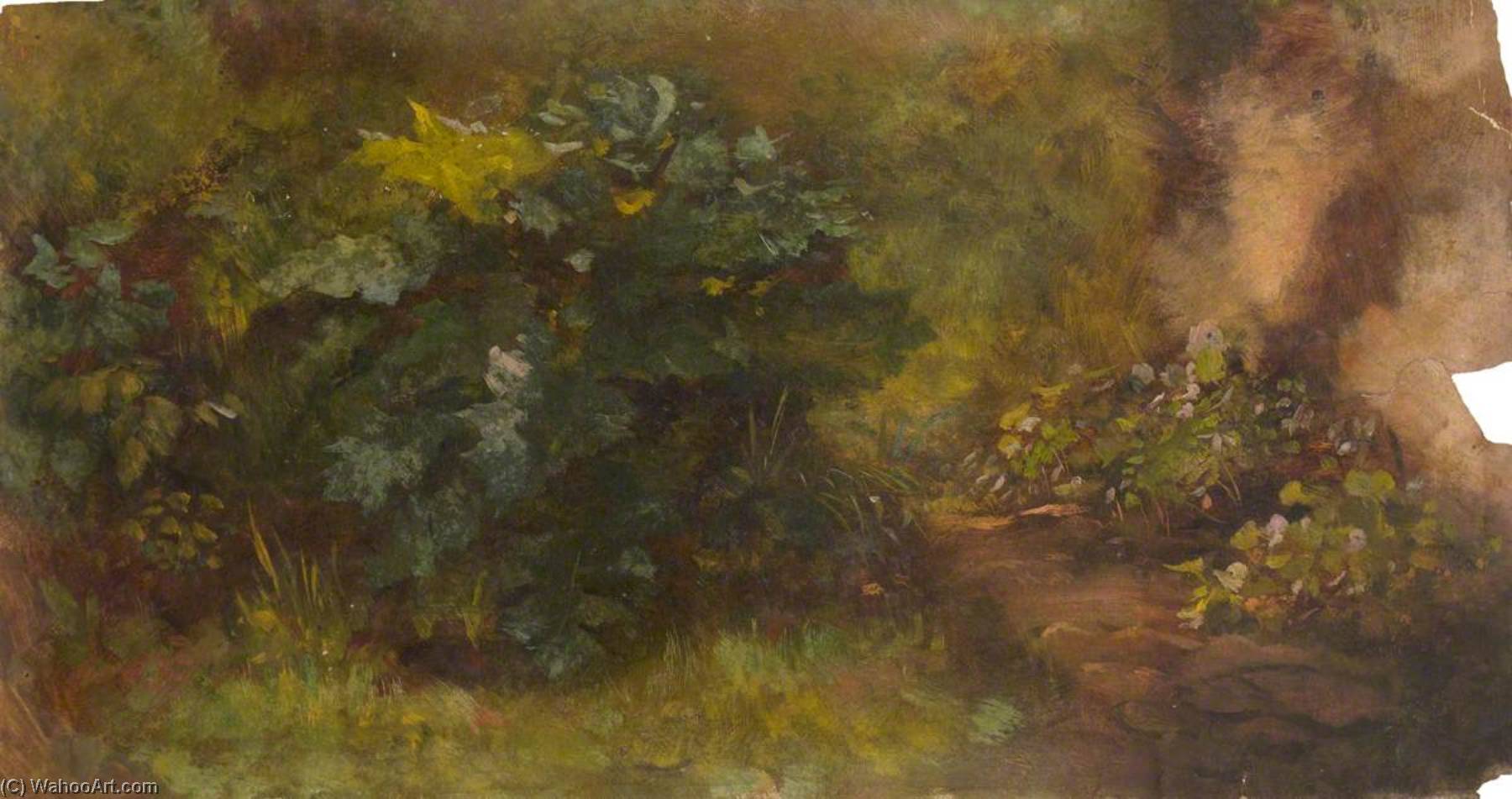 Foliage Study — Thomas Stuart Smith