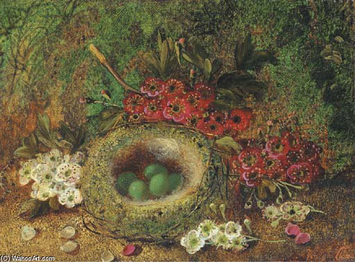 Apple Blossom And A Bird's Nest - — Vincent Clare