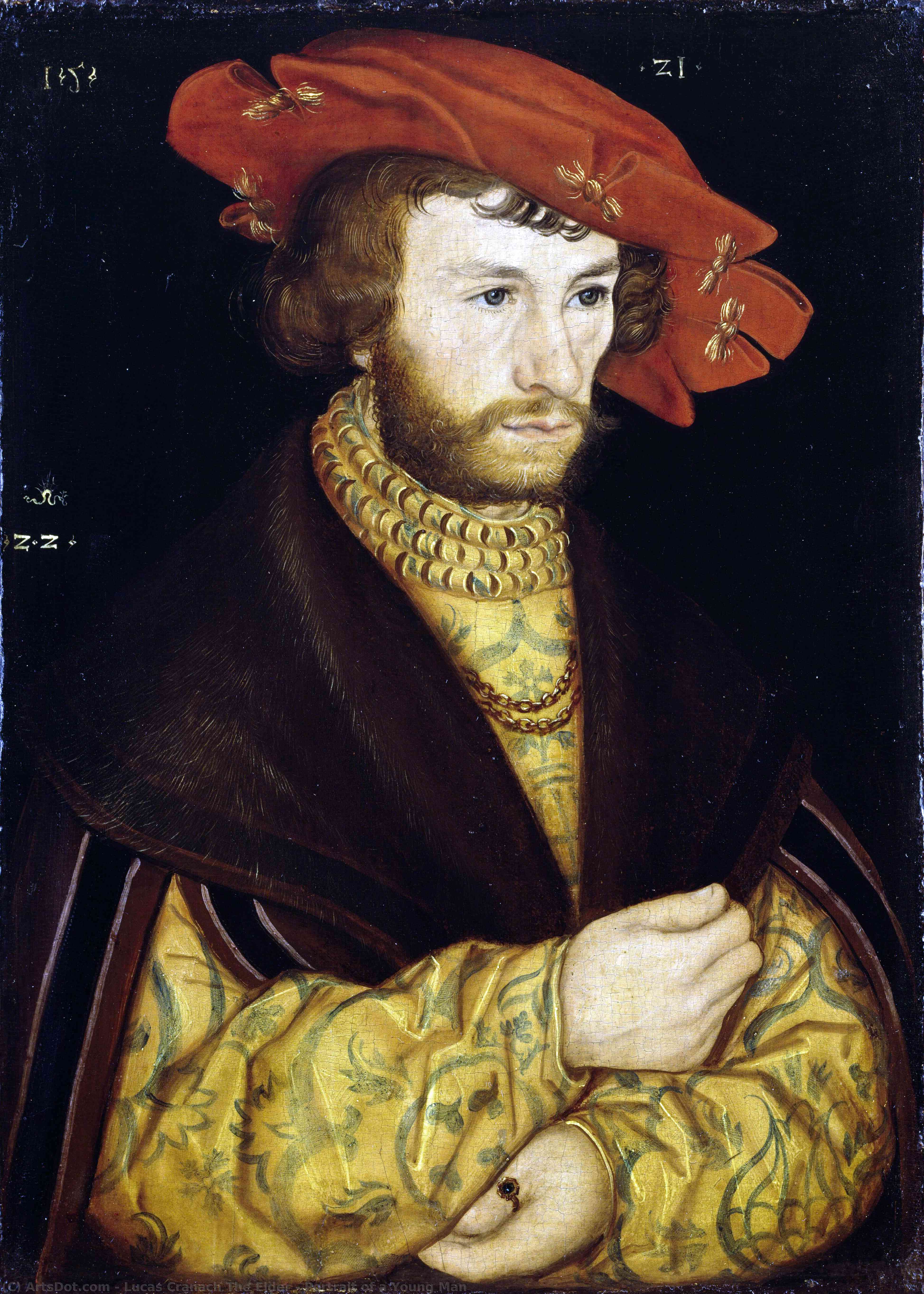Portrait Of A Young Man — Lucas Cranach The Elder