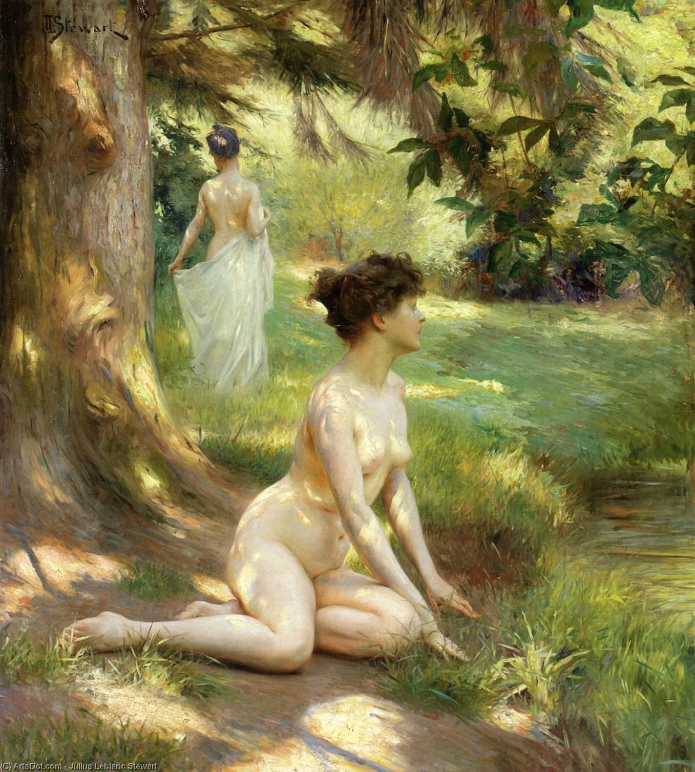 Sunlight — Julius Leblanc Stewart