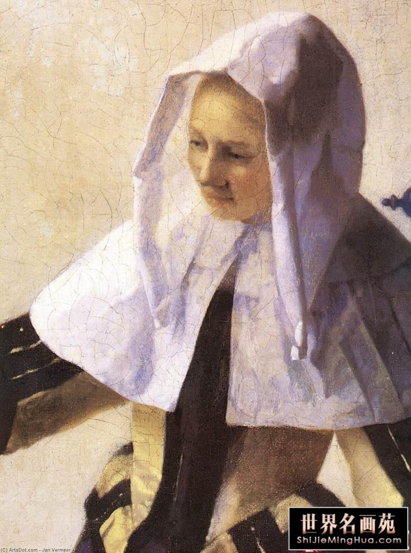 Young Woman With A Water Jug (detail) — Johannes Vermeer