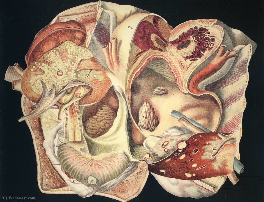 Untitled (982) — Frederick Sommer