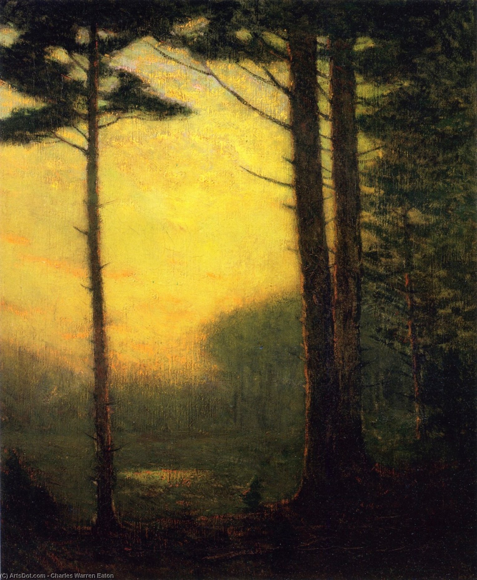 Sunset Pines — Charles Warren Eaton