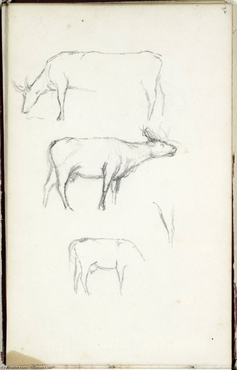 Study, Animal Figure — Thomas Cole