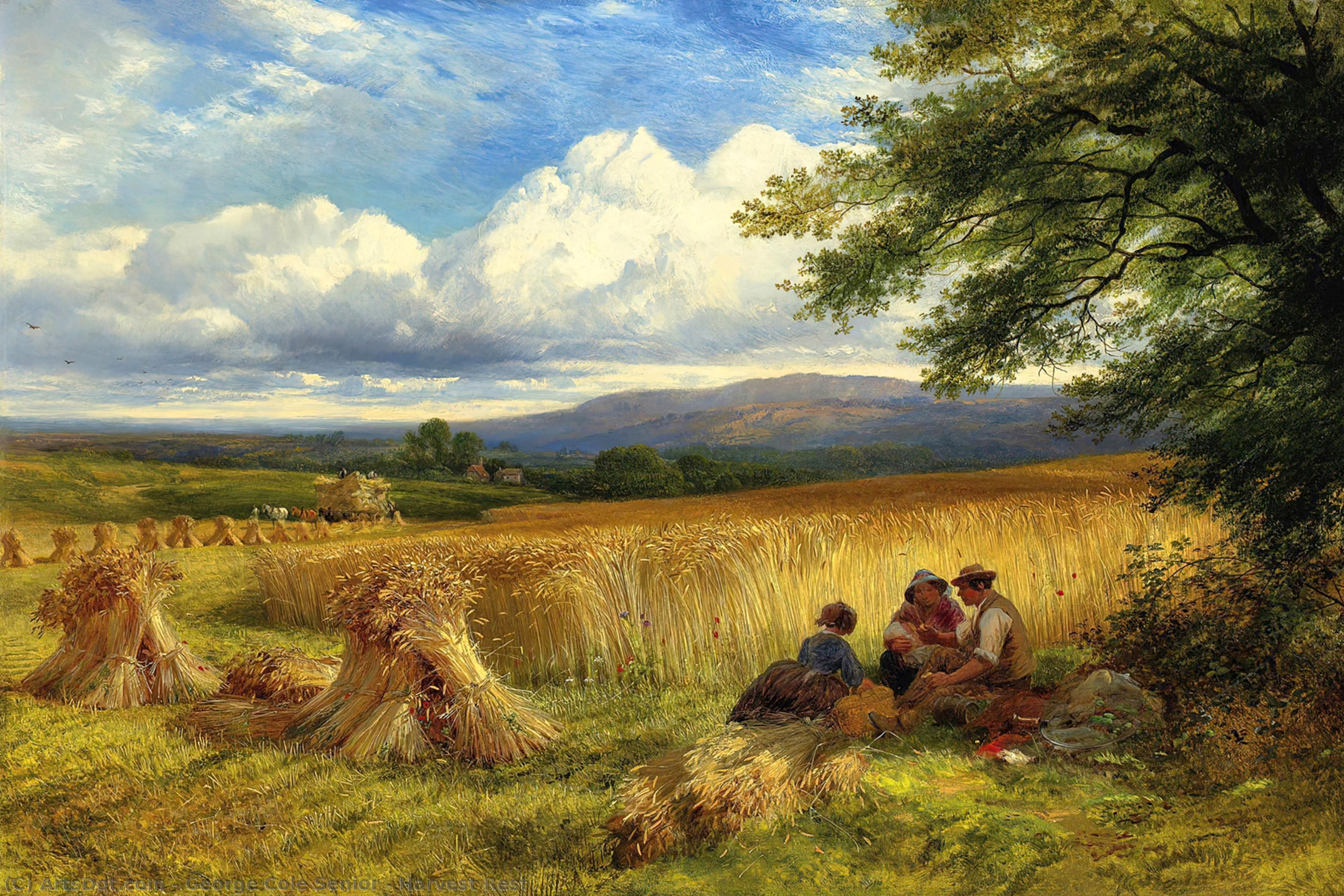 Harvest Rest — George Cole Senior