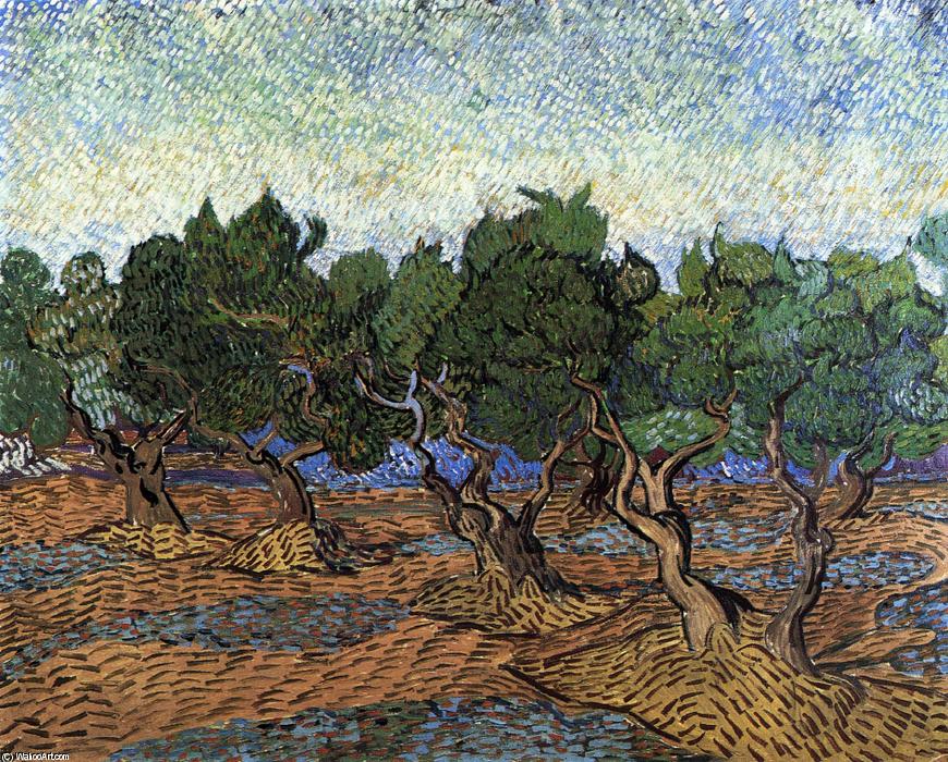 Olive Grove — Vincent Willem Van Gogh