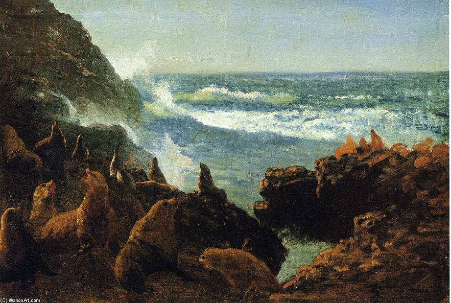 Sea Lions, Farallon Islands — Albert Bierstadt