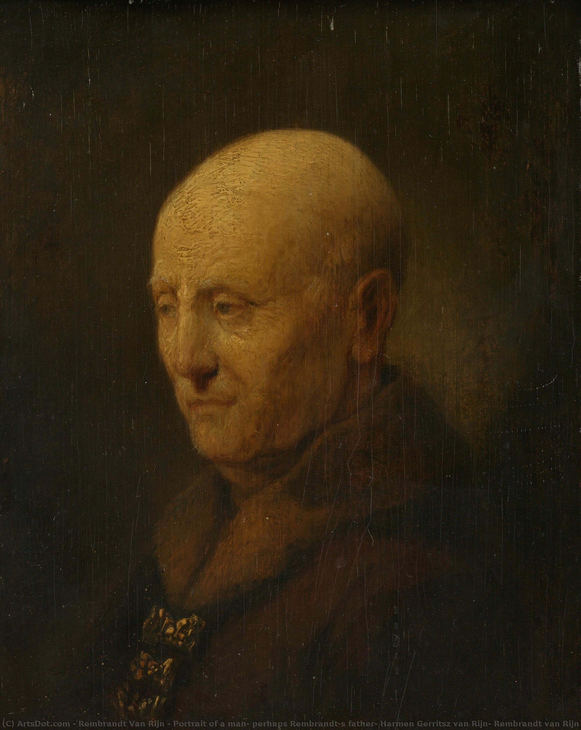 Portrait Of A Man, Perhaps Rembrandt"s Father, Harmen Gerritsz Van Rijn, Rembrandt Van Rijn (copy After), 1730 - 1774 — Rembrandt Van Rijn