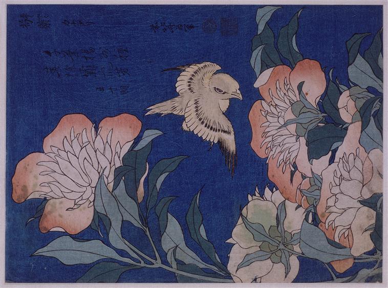 Canary And Peony — Katsushika Hokusai