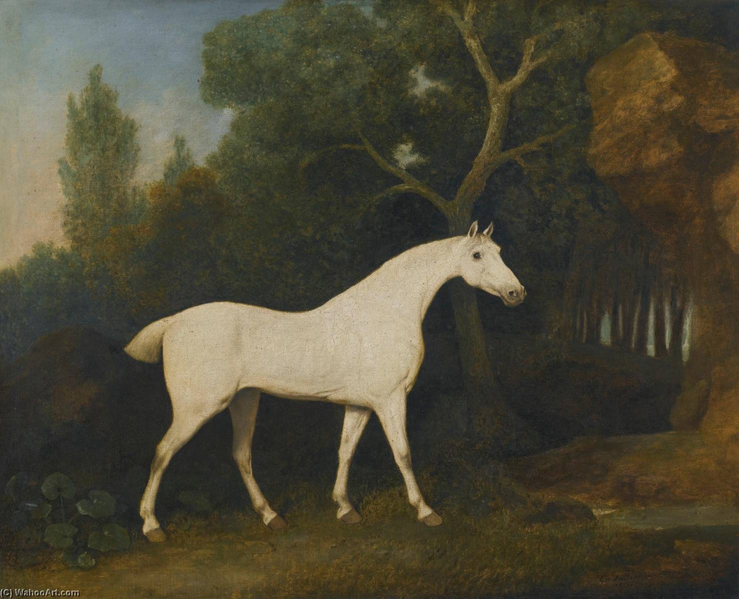 Selim , A Grey Hunter In A Paddock — George Stubbs