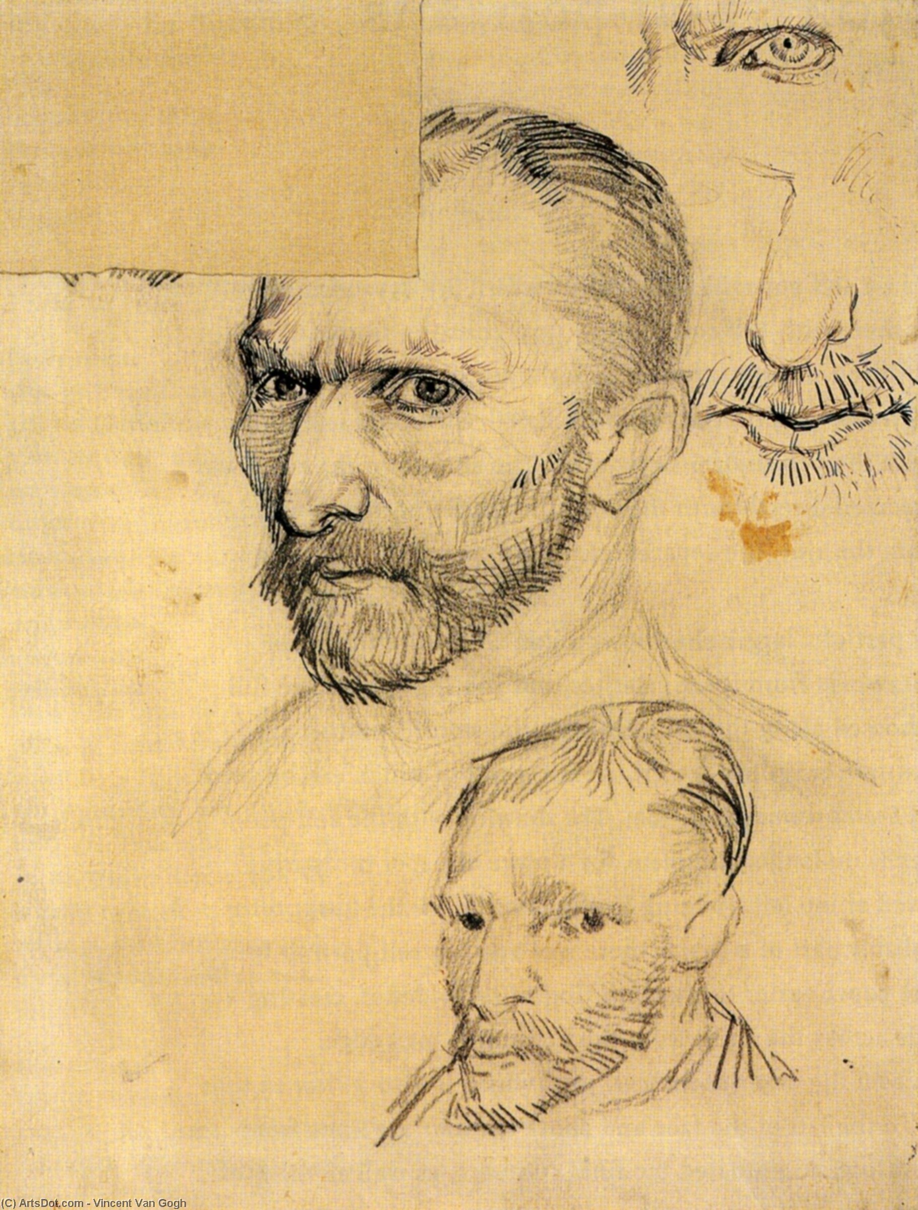 Two Self-portraits And Several Details — Vincent Willem Van Gogh
