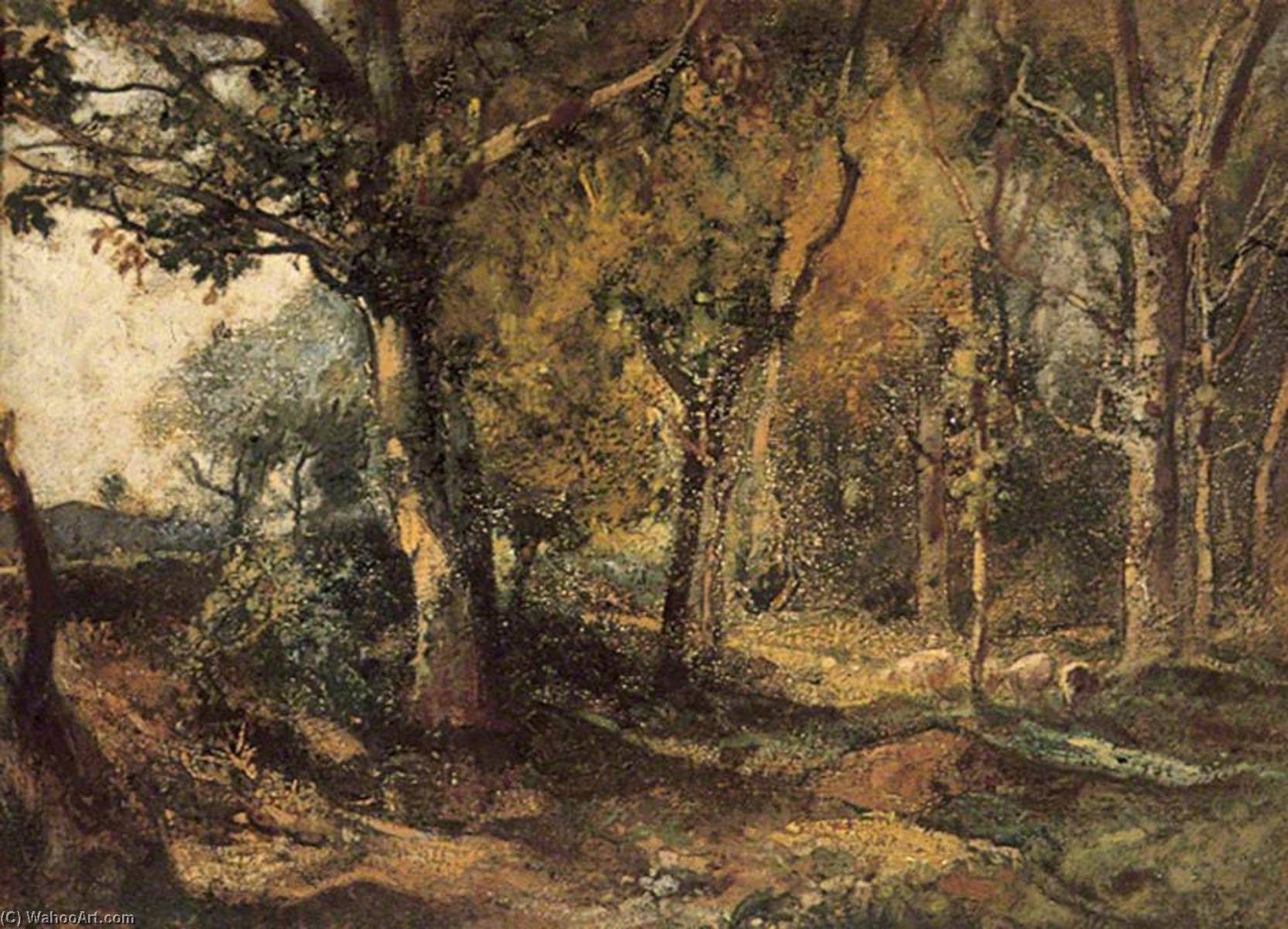 Interior Of A Wood — Oliver Hall