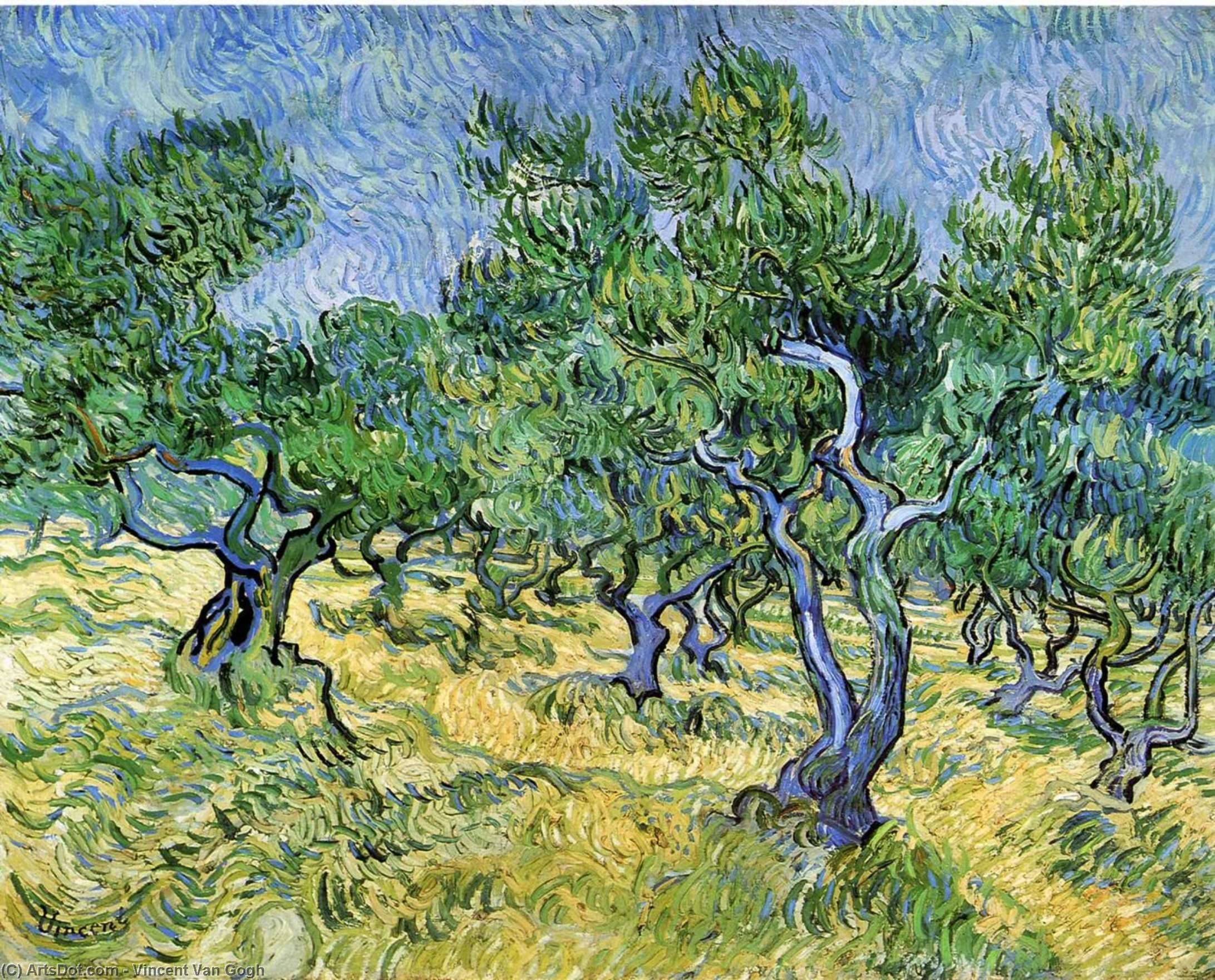 Olive Grove — Vincent Willem Van Gogh
