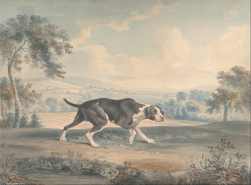 The Spanish Pointer — John Buckler