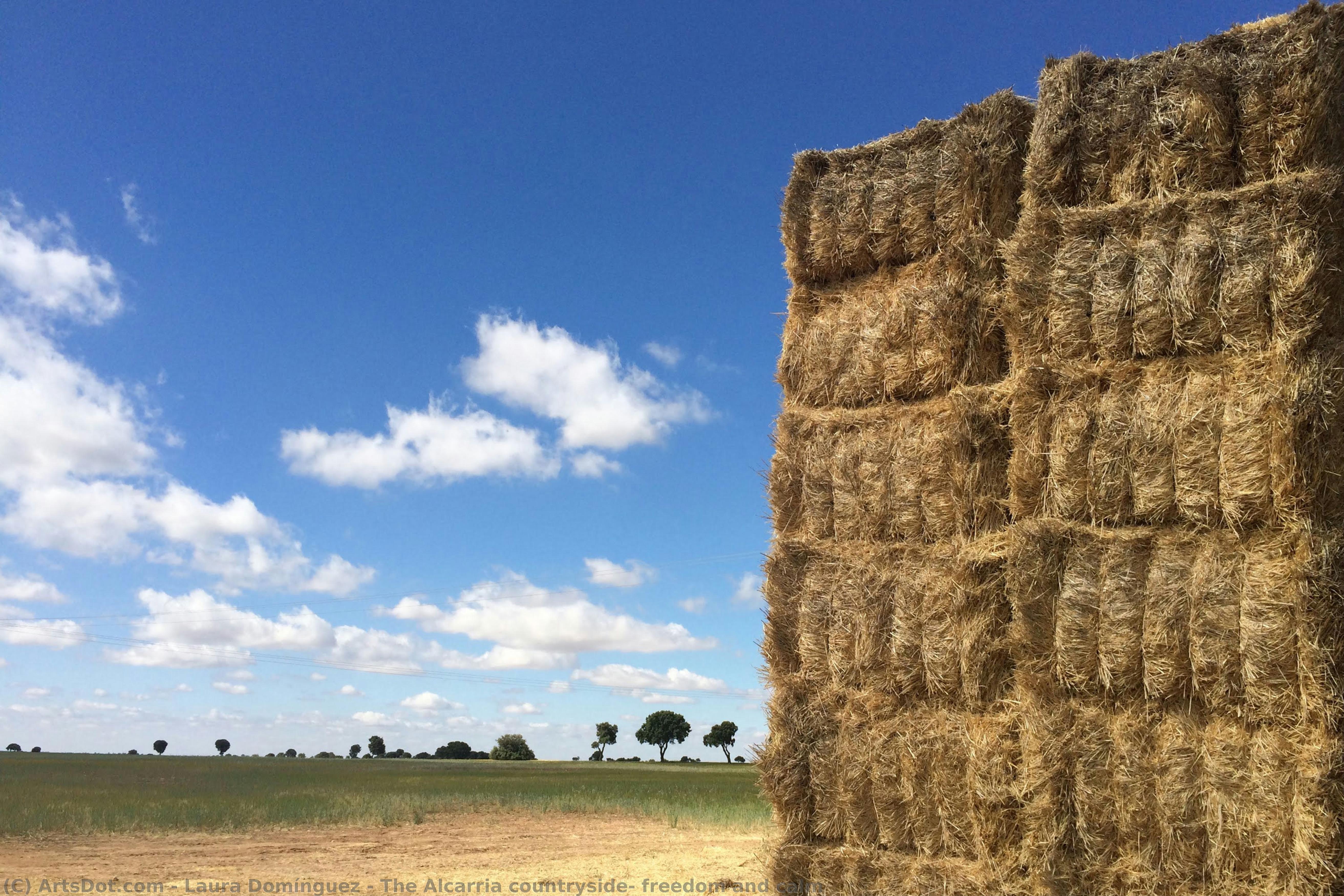The Alcarria Countryside: Freedom And Calm — Laura Domínguez