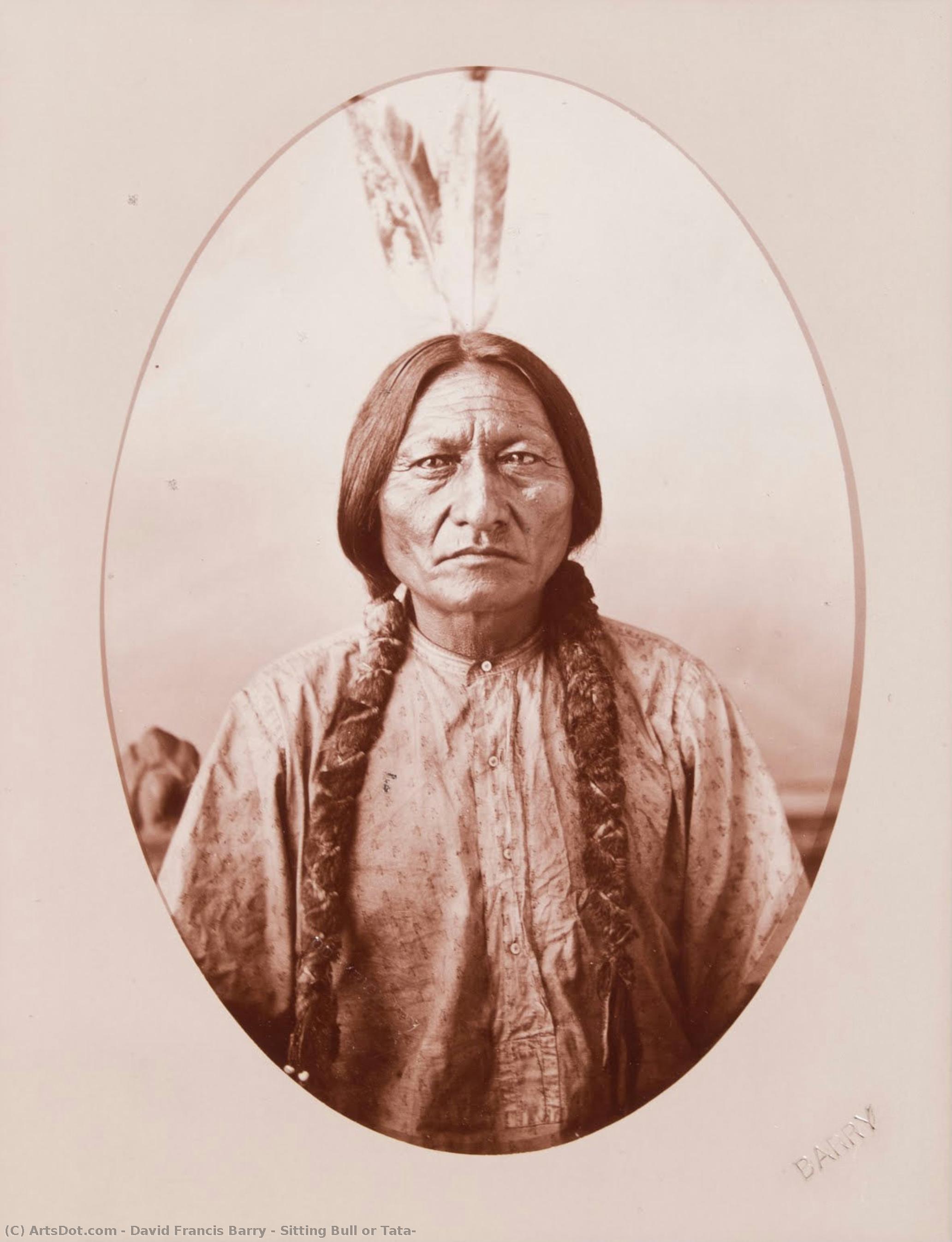 Sitting Bull Or Tata — David Francis Barry