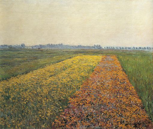 The Yellow Fields At Gennevilliers — Gustave Caillebotte