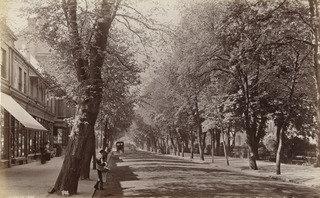 Chettenham, The Promenade (no. 659) — Francis Bedford