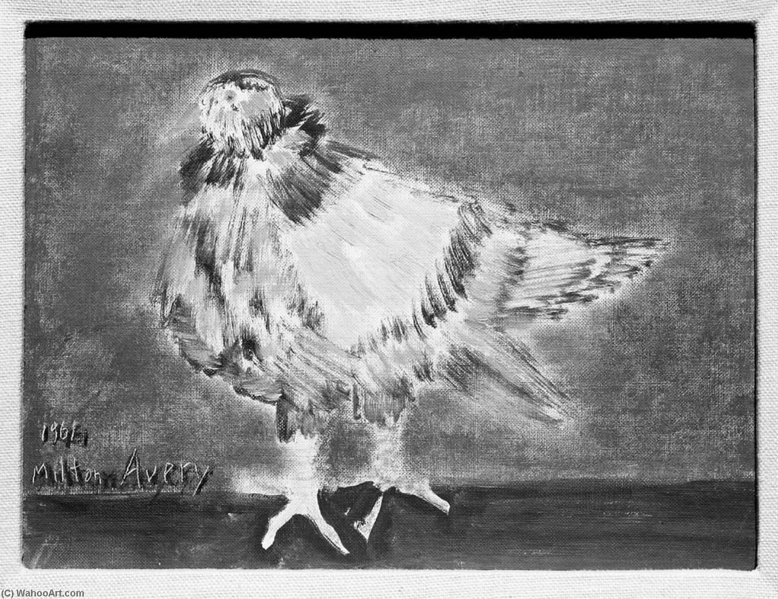 Ruffled Pigeon — Milton Avery