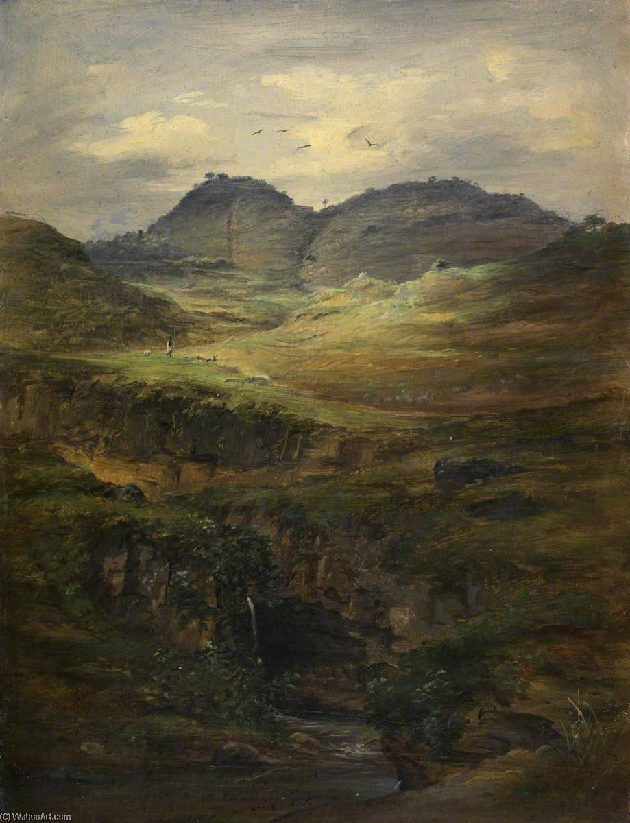 Hilly Landscape With Cascade In Foreground, Near Ankobar — Johann Martin Bernatz