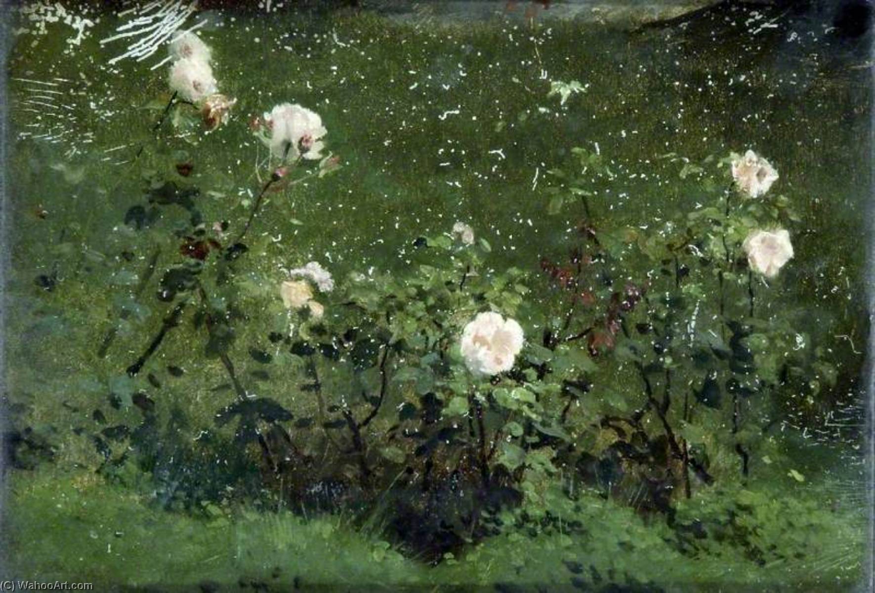 Roses — Marcus C Stone