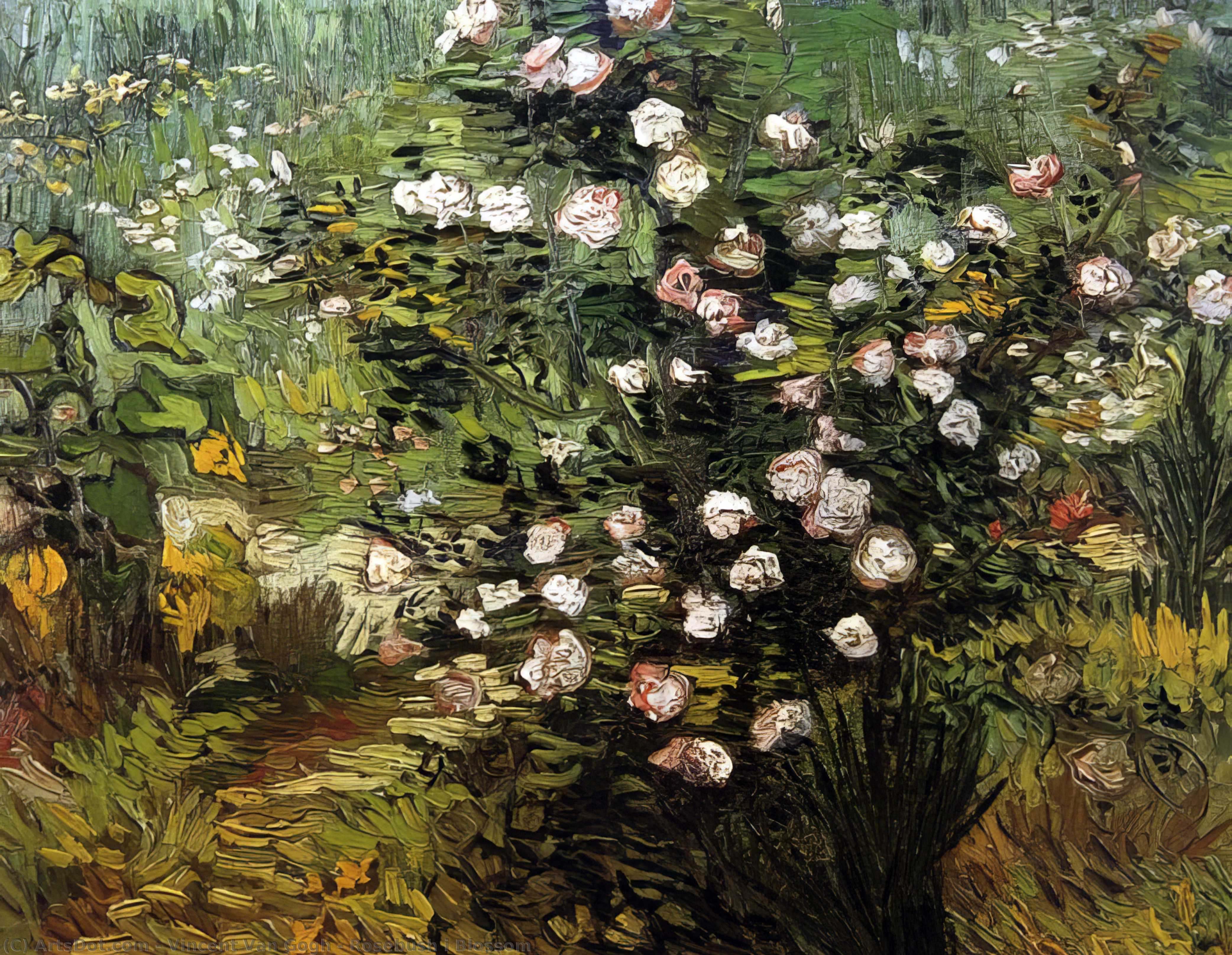 Rosebush I Blossom — Vincent Willem Van Gogh