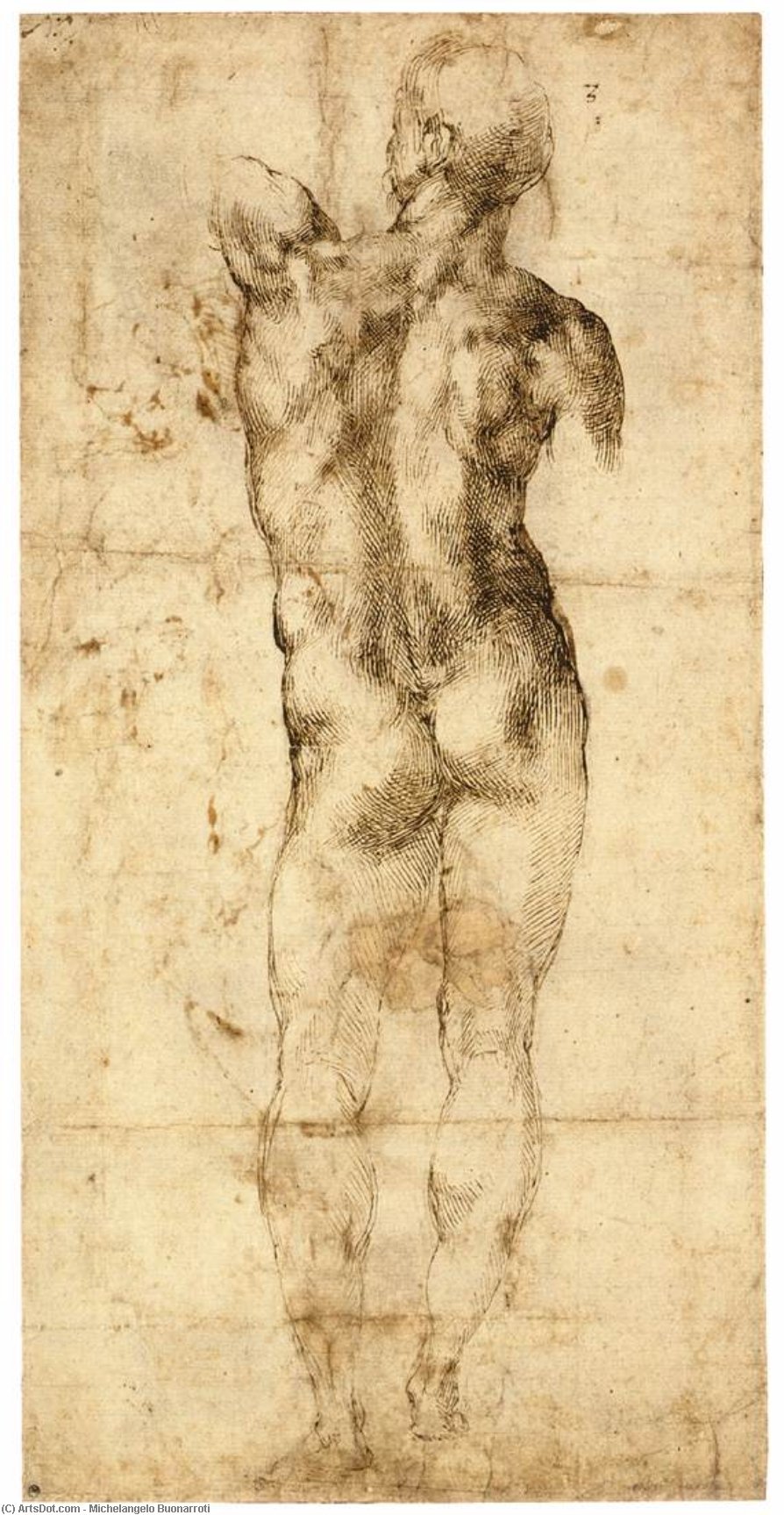Standing Male Nude, Seen From The Rear (recto) — Michelangelo Buonarroti