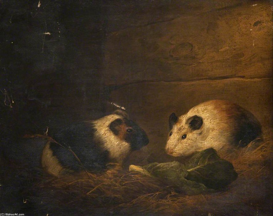 Study Of Guinea Pigs — George Morland