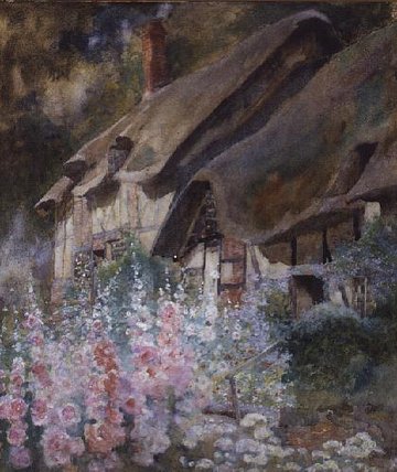Hollyhocks — David Woodlock
