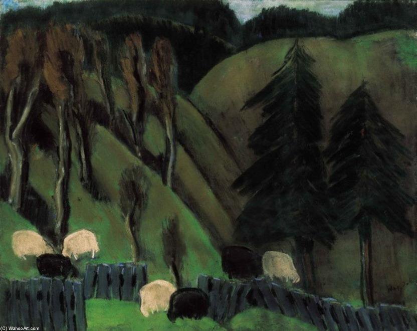 From My Szekely Homeland — István Nagy