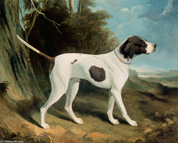 Portrait Of A Liver And White Pointer — George Garrard