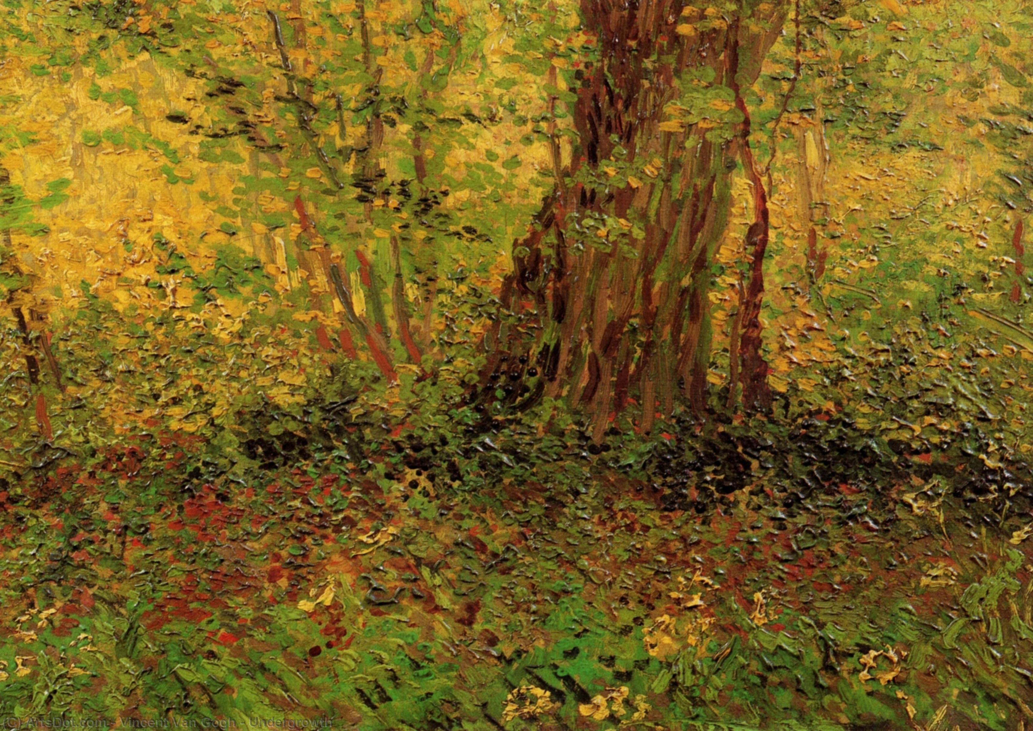 Undergrowth — Vincent Willem Van Gogh