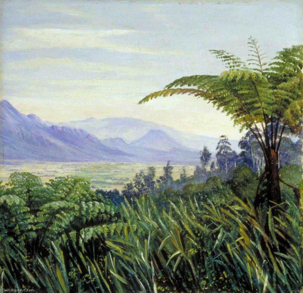 Tree Fern In The Preanger Mountains, Java — Marianne North