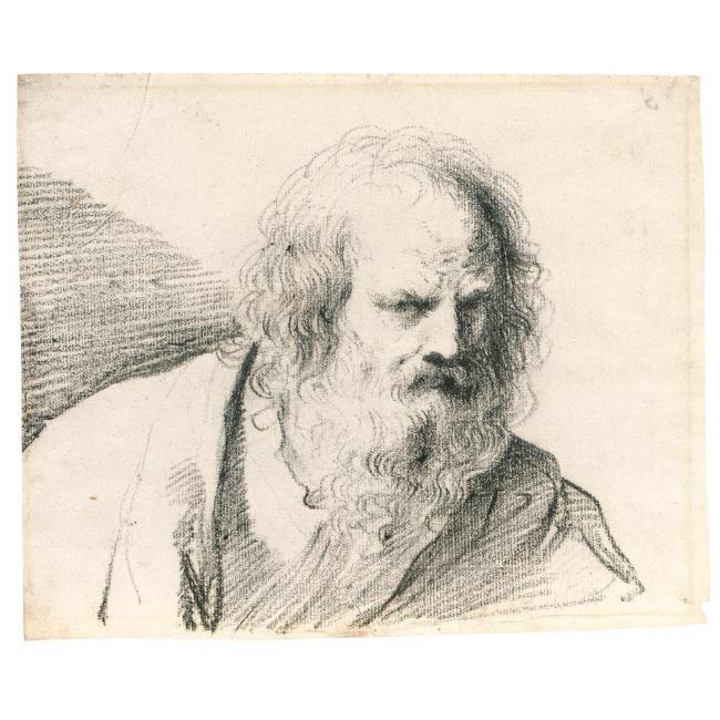 Bust Of A Bearded Old Man — Guercino
